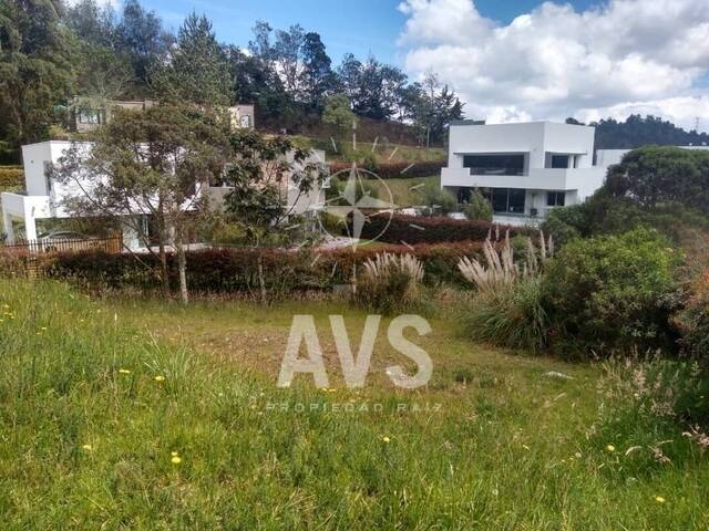 #2424 - Terreno para Venta en Envigado - ANT - 2
