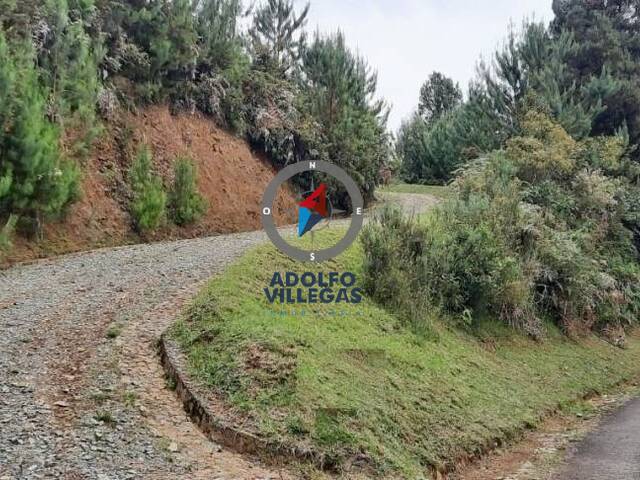 Terreno para Venta en Envigado - 4