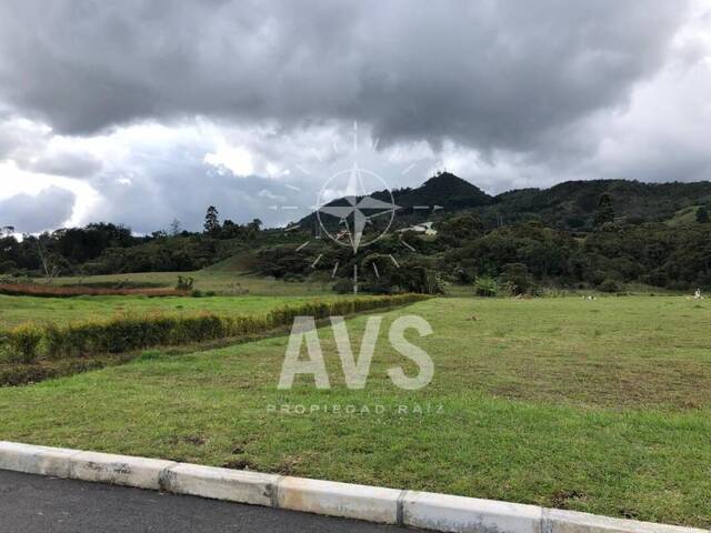 Terreno para Venta en La Ceja - 4