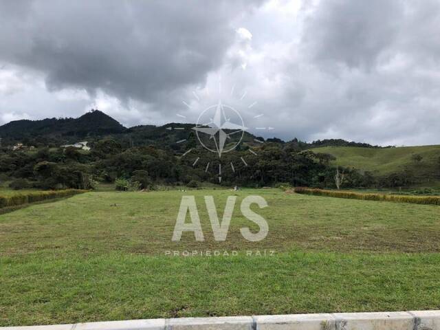 Terreno para Venta en La Ceja - 3