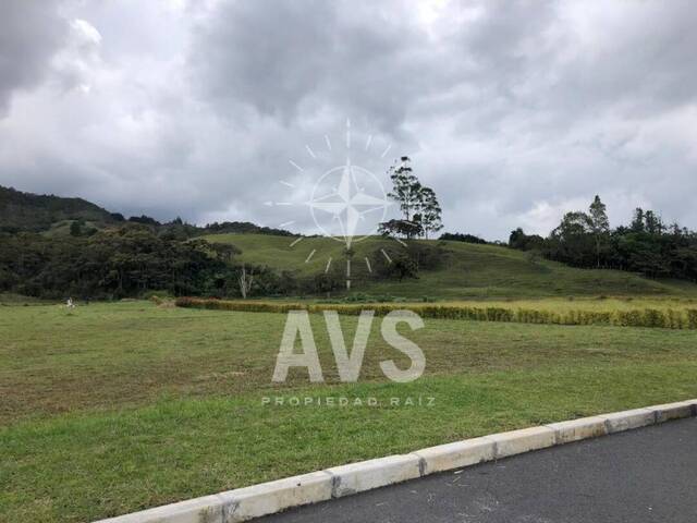 Terreno para Venta en La Ceja - 2