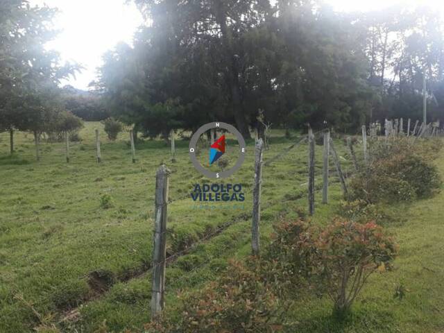Terreno para Venta en Rionegro - 5
