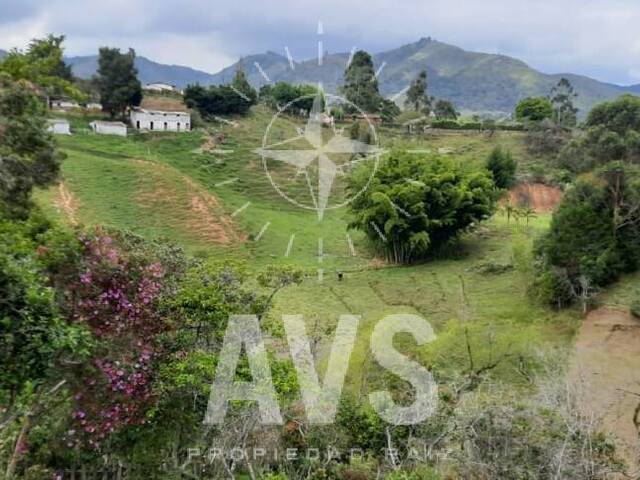 Finca para Venta en San Vicente - 4