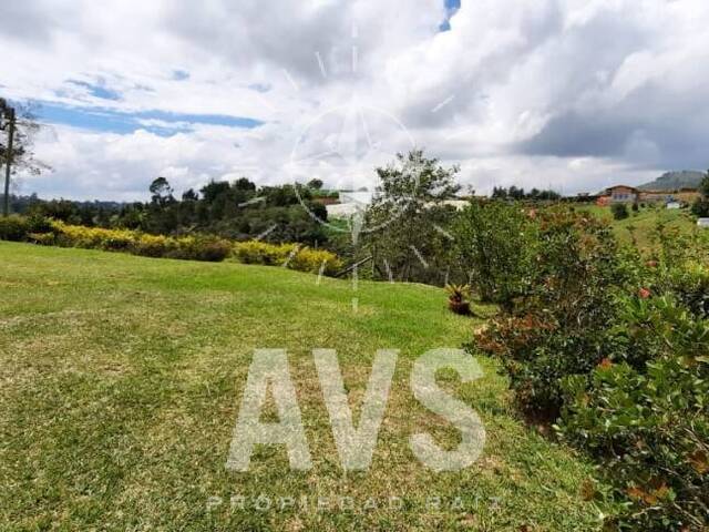 #3470 - Finca para Venta en San Vicente - ANT - 3