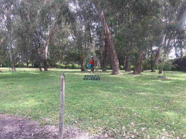 #3609 - Terreno para Venta en Rionegro - ANT - 2