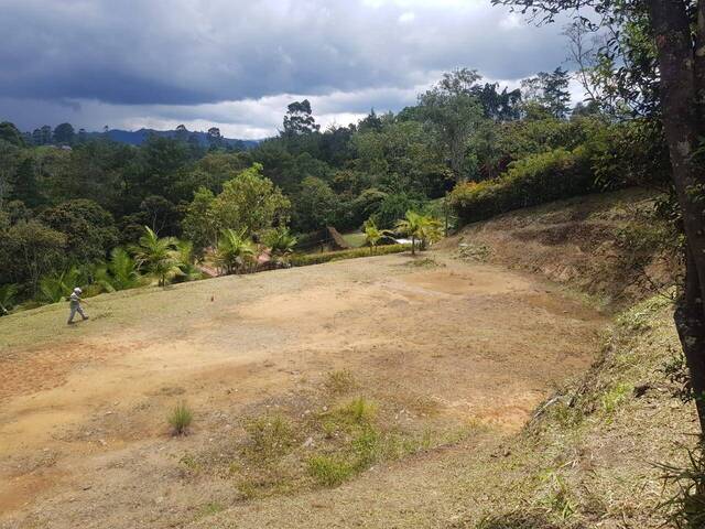 Terreno para Venta en Carmen de Viboral - 3