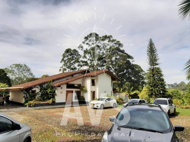 Finca para Venta en Carmen de Viboral - 4