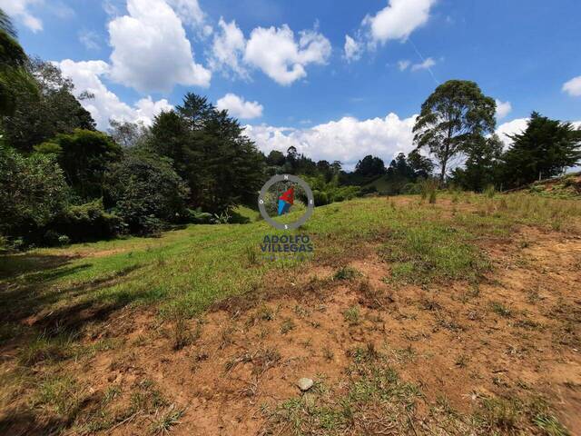 Terreno para Venta en Carmen de Viboral - 2