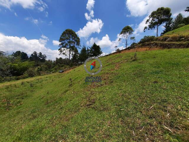 Terreno para Venta en Carmen de Viboral - 3