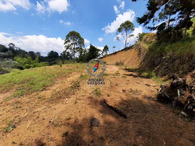 Terreno para Venta en Carmen de Viboral - 4