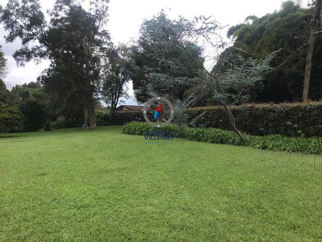 Terreno para Alquiler en Rionegro - 4