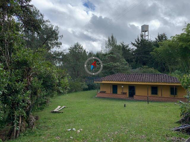 Finca para Venta en Rionegro - 4