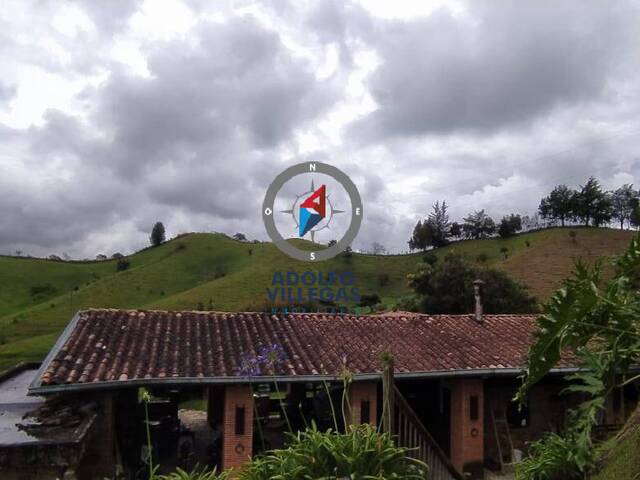 #3650 - Finca para Venta en Rionegro - ANT - 1