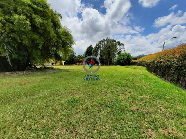 Terreno para Venta en Rionegro - 4