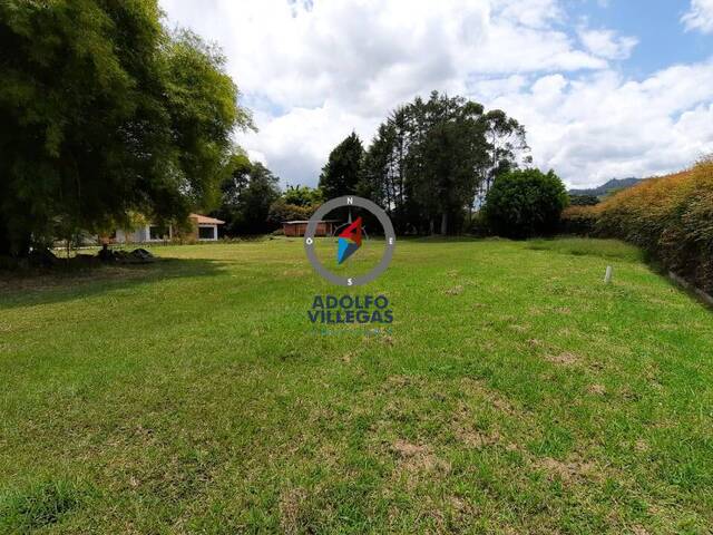 #3651 - Terreno para Venta en Rionegro - ANT - 3