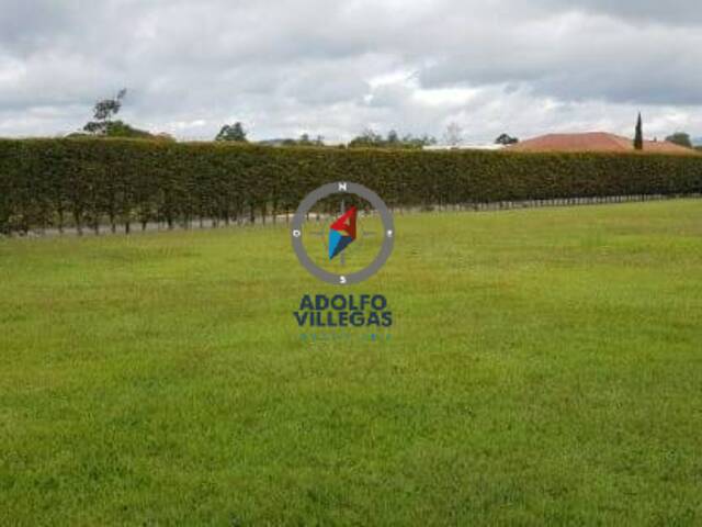 Terreno para Venta en Rionegro - 4