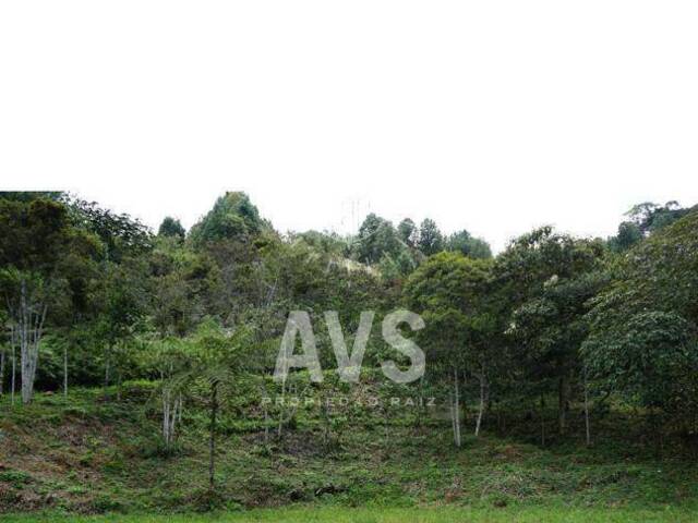 Terreno para Venta en Retiro - 5
