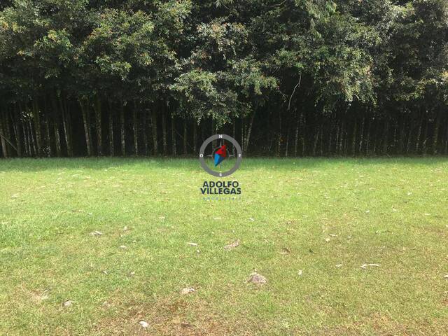 Terreno para Venta en Rionegro - 4