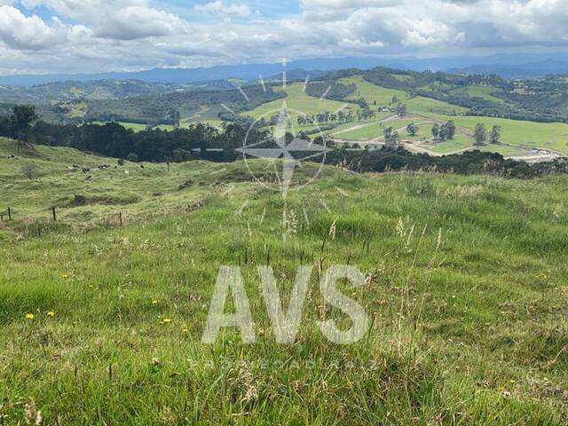 #3426 - Terreno para Venta en Rionegro - ANT