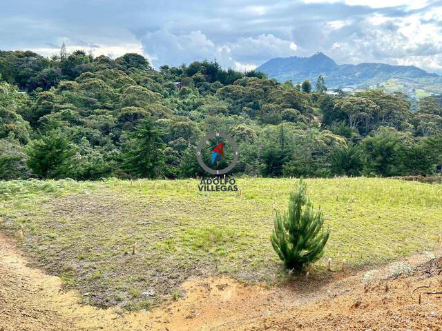 Terreno para Venta en Carmen de Viboral - 4