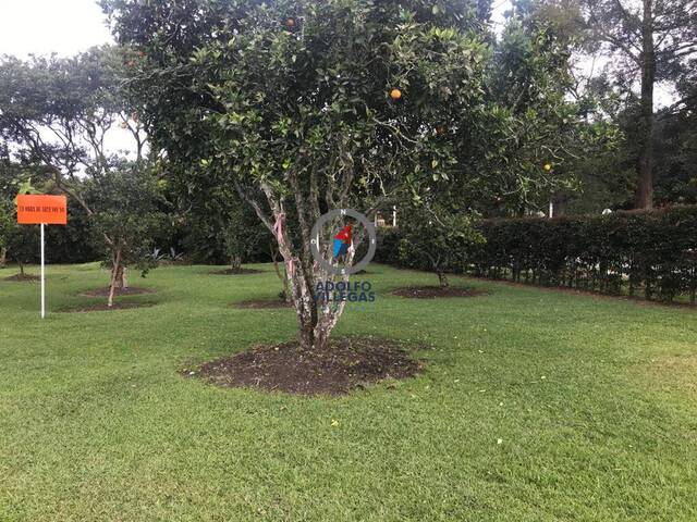 Finca para Venta en Rionegro - 4