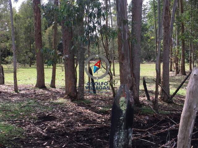 Finca para Venta en Rionegro - 5