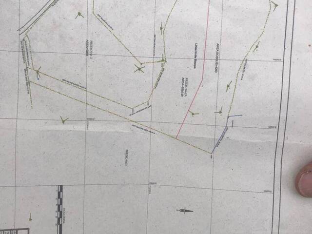 Terreno para Venta en Rionegro - 5