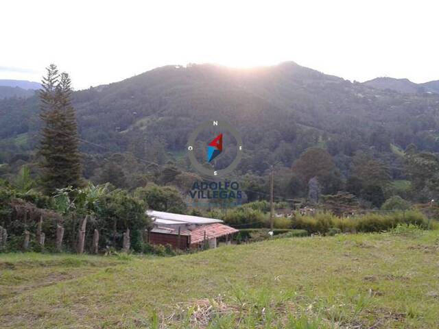 Terreno para Venta en Rionegro - 4