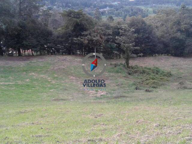 #3739 - Terreno para Venta en Rionegro - ANT - 1