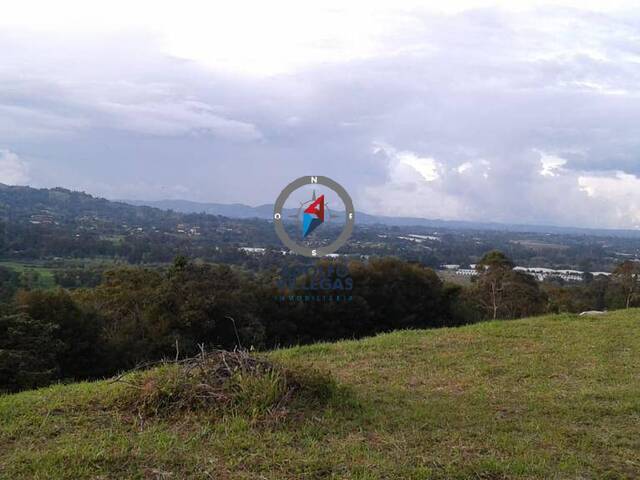 Terreno para Venta en Rionegro - 5