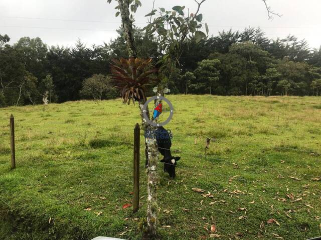 Terreno para Venta en La Ceja - 5