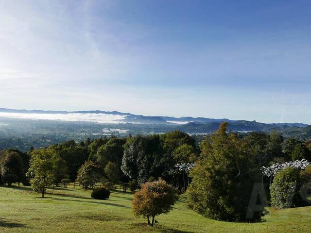 Finca para Venta en Rionegro - 5