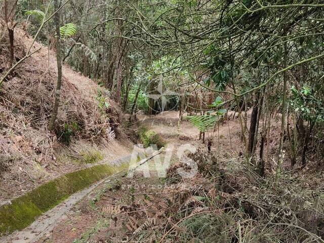 Terreno para Venta en Envigado - 4