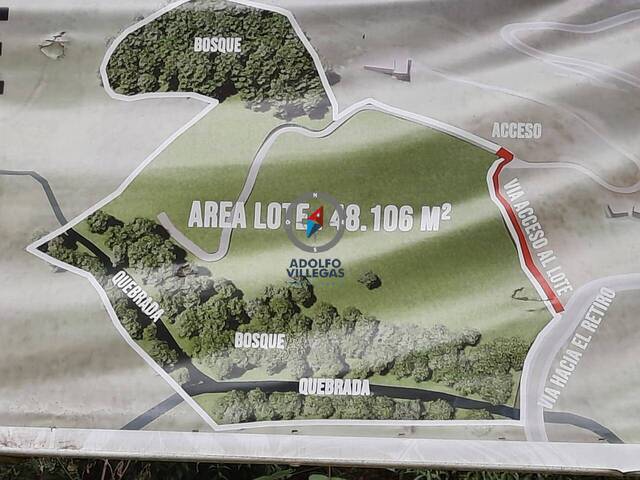 para  en  - 4
