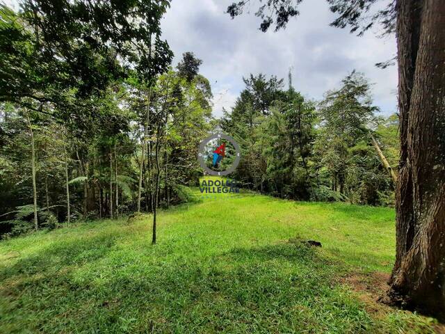 Terreno para Venta en Rionegro - 4