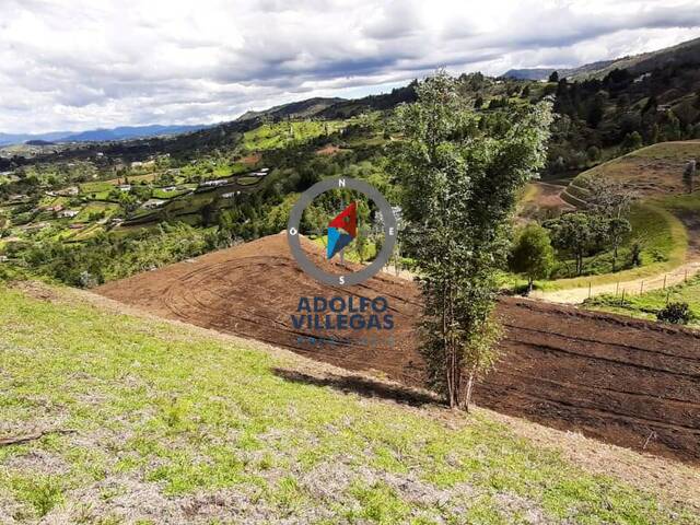 Terreno para Venta en Guarne - 4