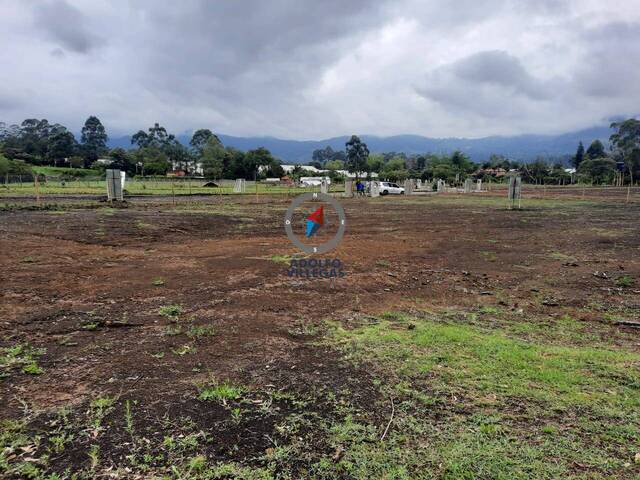 Terreno para Venta en La Ceja - 3