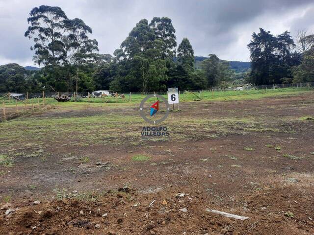 Terreno para Venta en La Ceja - 4