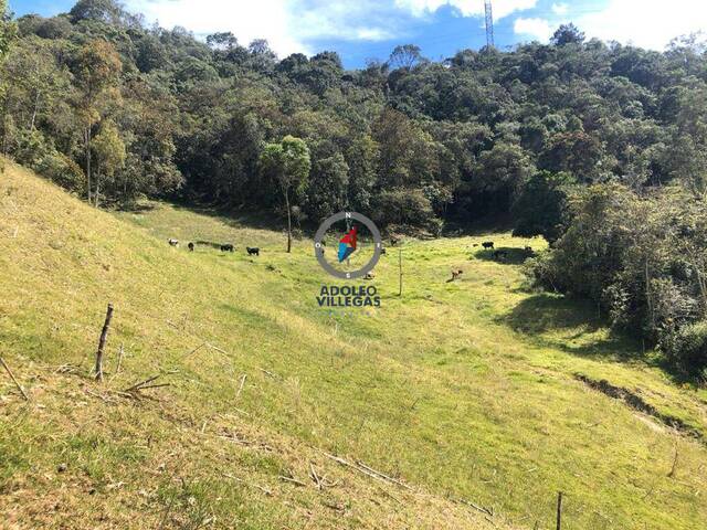 Terreno para Venta en Retiro - 3