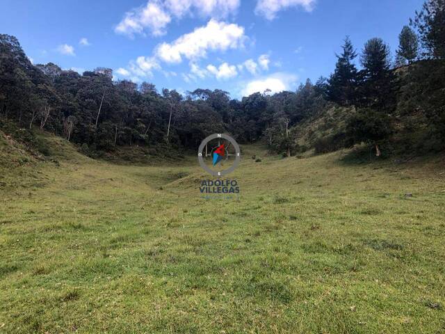 Terreno para Venta en Retiro - 2