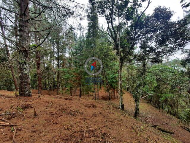 Terreno para Venta en Retiro - 4