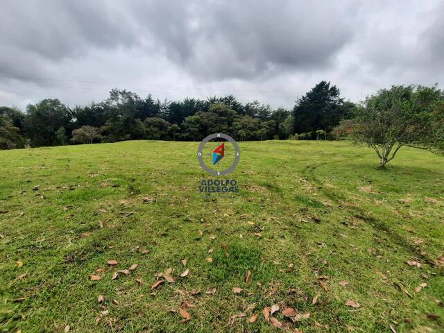 Terreno para Venta en La Ceja - 3