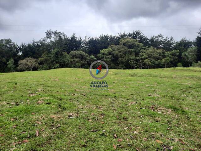 Terreno para Venta en La Ceja - 4