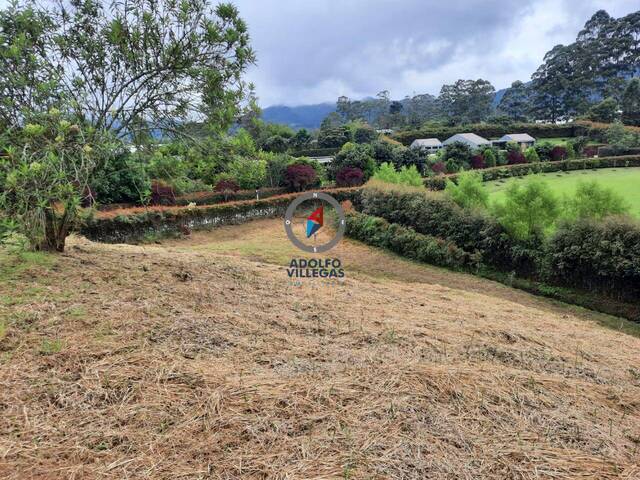 Terreno para Venta en La Ceja - 2
