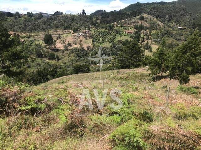 #3262 - Terreno para Venta en Rionegro - ANT - 1