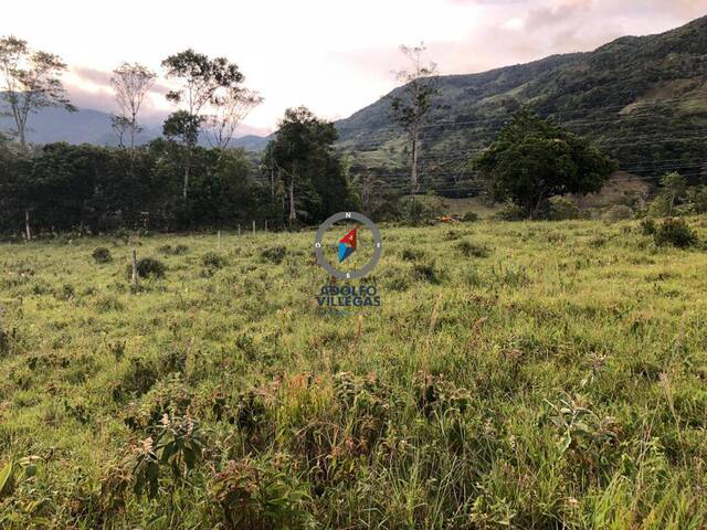 Terreno para Venta en San Carlos - 4
