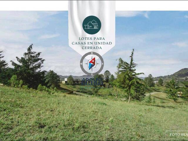 Terreno para Venta en Carmen de Viboral - 4