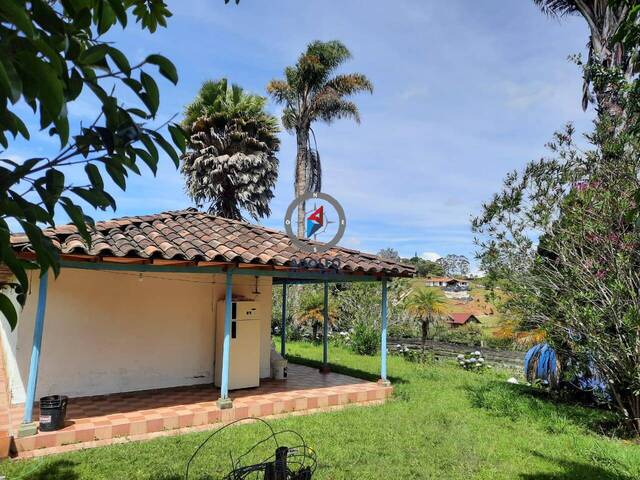 Terreno para Venta en Carmen de Viboral - 4