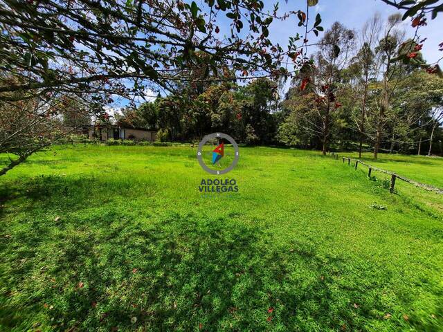 Terreno para Venta en Rionegro - 4