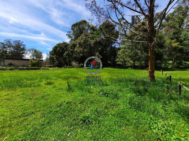 Terreno para Venta en Rionegro - 5
